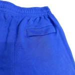 Corteiz Men's Blue Shorts